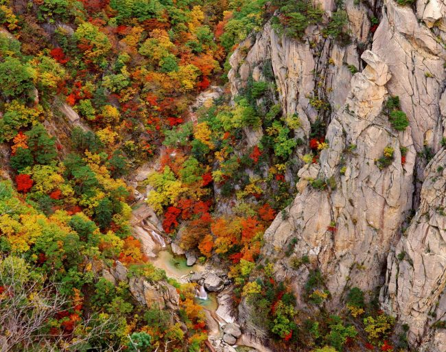 nét lãng mạng mùa thu xứ Hàn