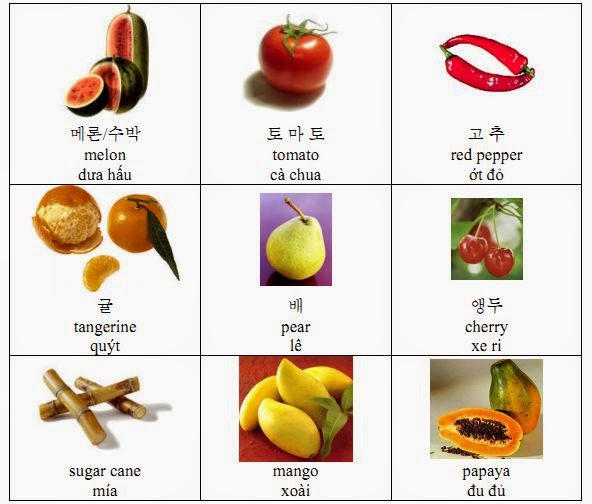  Học từ vựng tiếng Hàn qua hình ảnh bằng chủ đề các loại quả